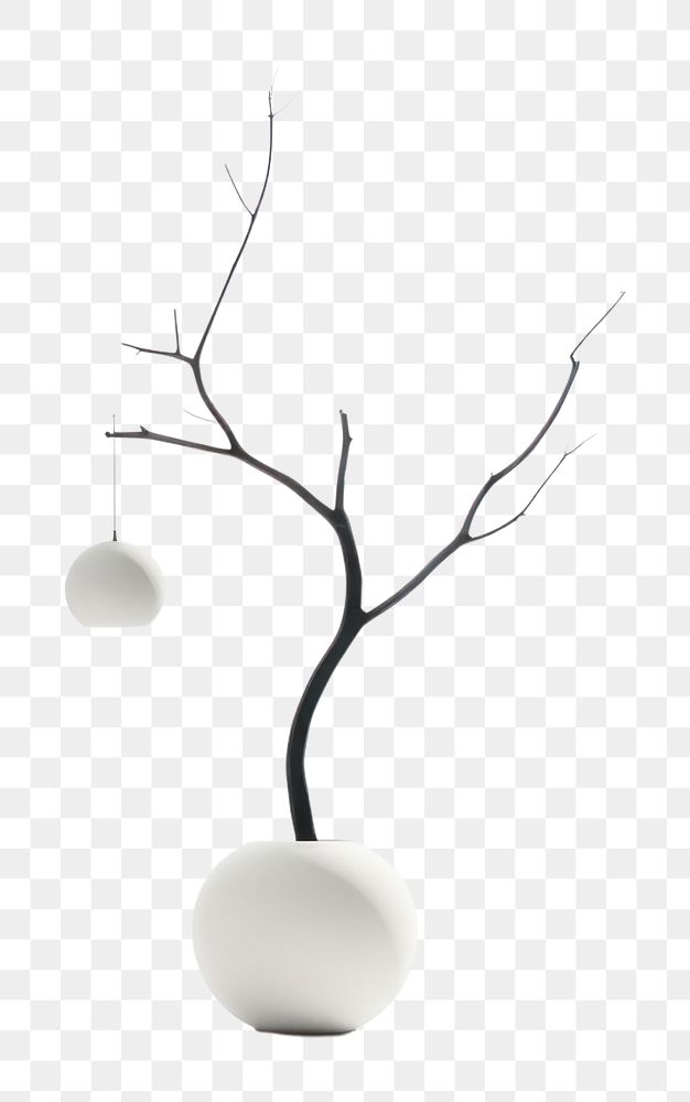 PNG Plant white vase lamp. 