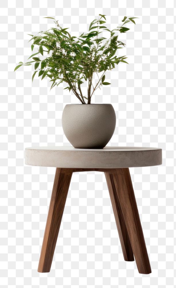PNG  Furniture table plant vase. AI generated Image by rawpixel.