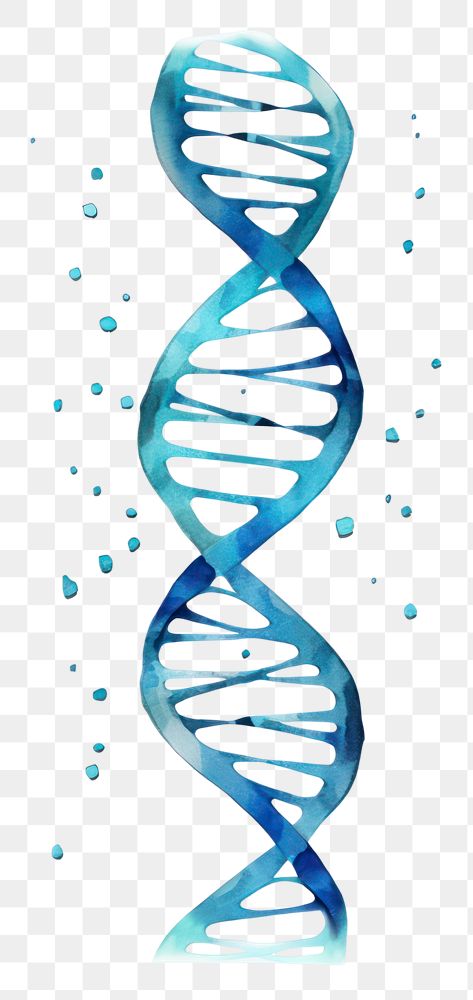 PNG DNA paper blue biochemistry. 