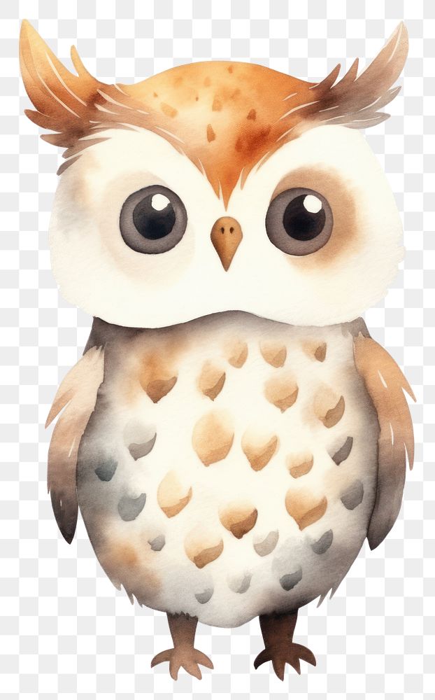 PNG Owl owl cartoon animal. 