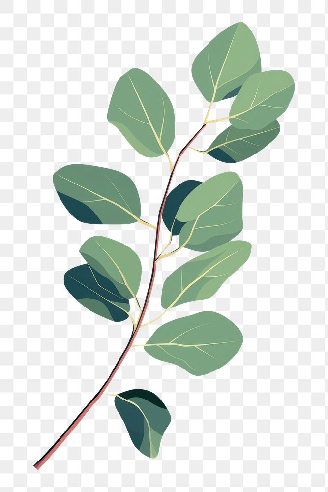 PNG A eucalyptus leaf plant tree produce. AI generated Image by rawpixel.