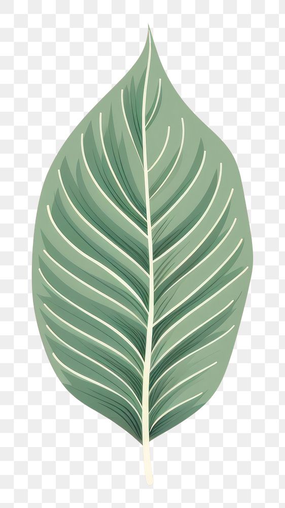 PNG Botanical leaf plant pattern nature. AI generated Image by rawpixel.
