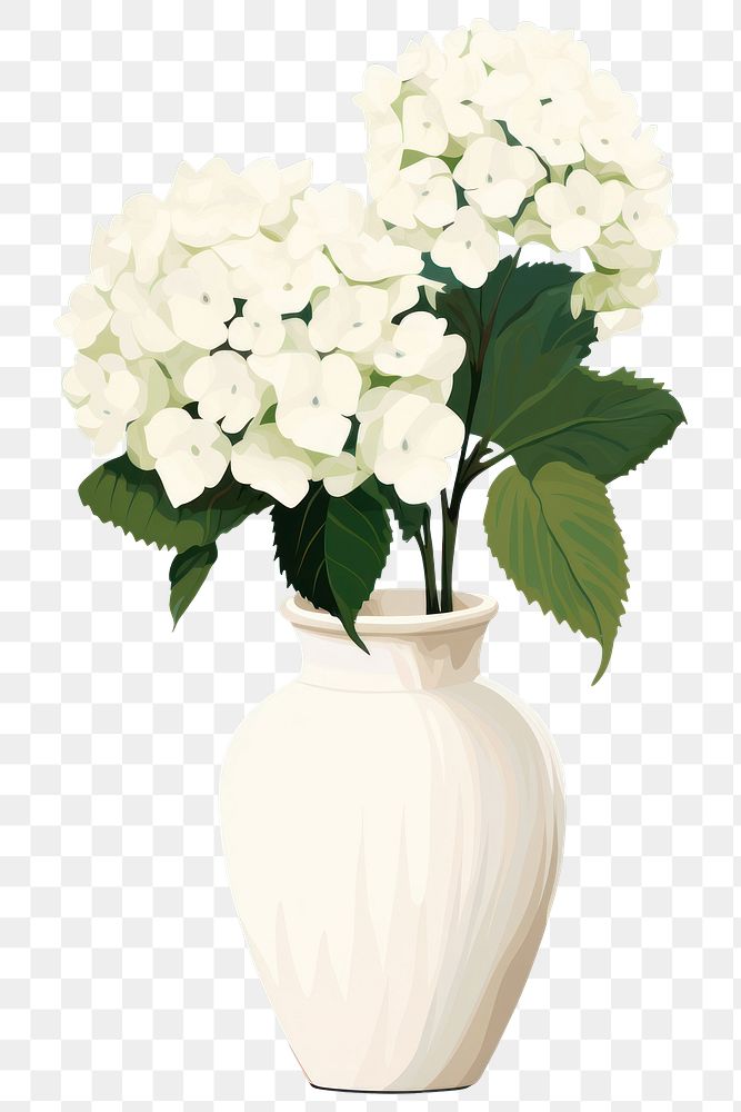 PNG Hydrangea vase flower plant. AI generated Image by rawpixel.