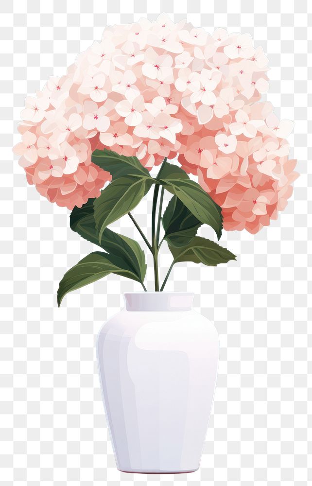 PNG Hydrangea vase flower plant. AI generated Image by rawpixel.