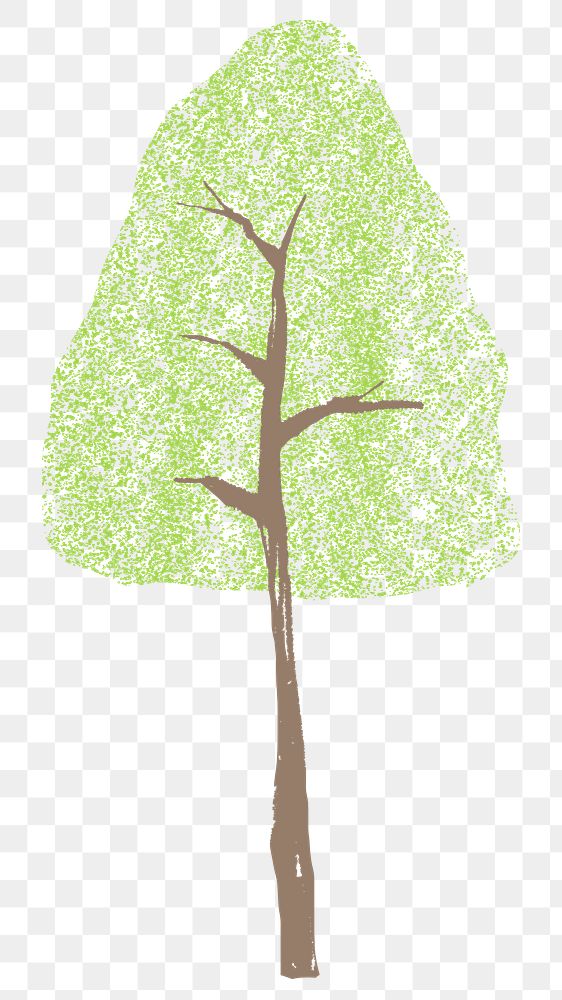 Pine green tree png doodle element, transparent background