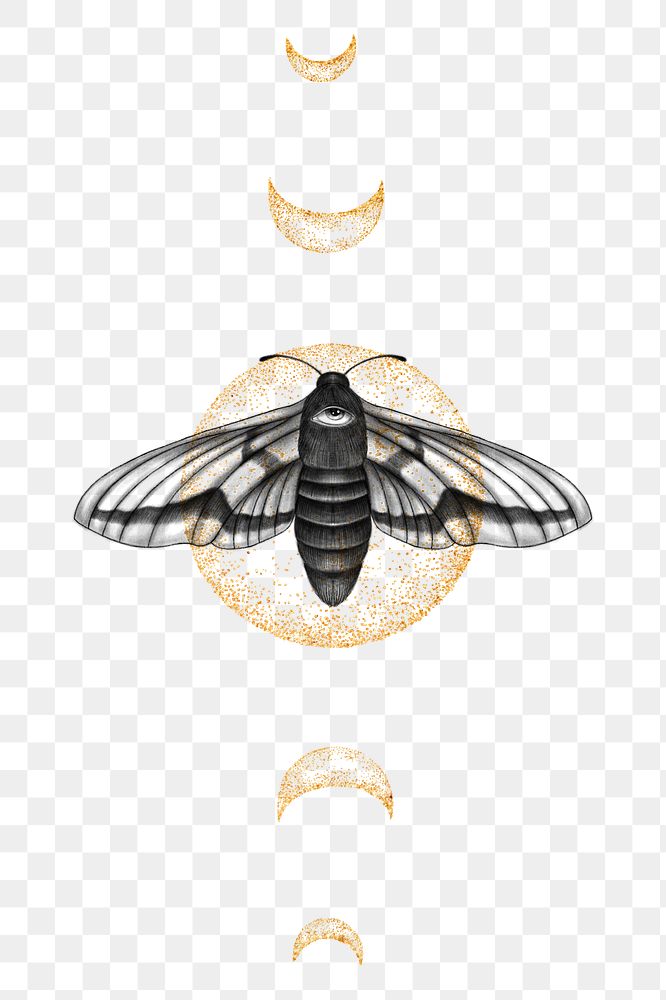 Moth aesthetic png, spiritual illustration, transparent background