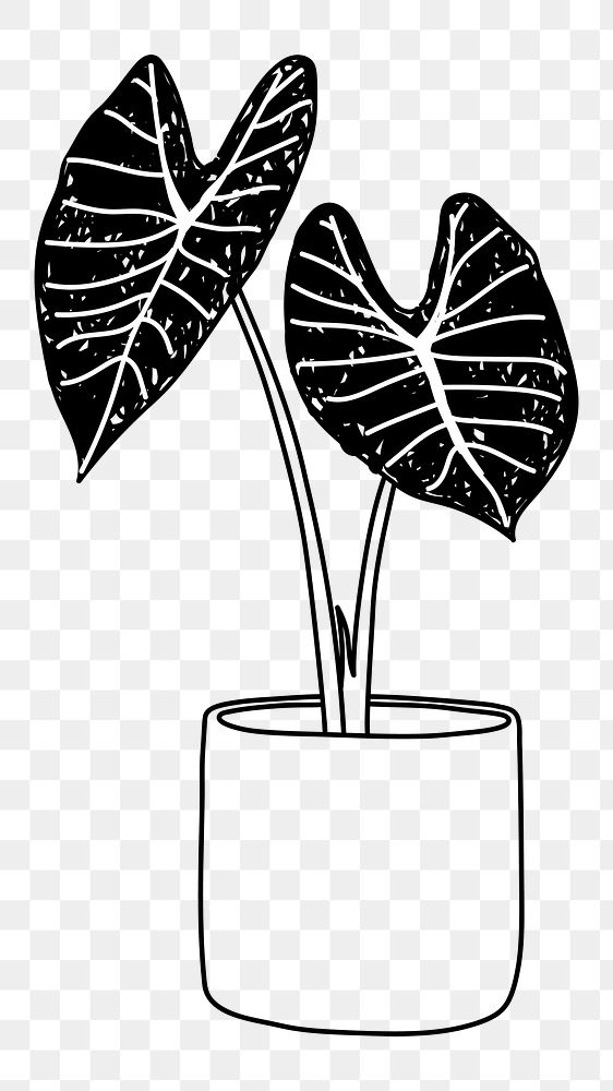 House plant in pot png doodle element, transparent background