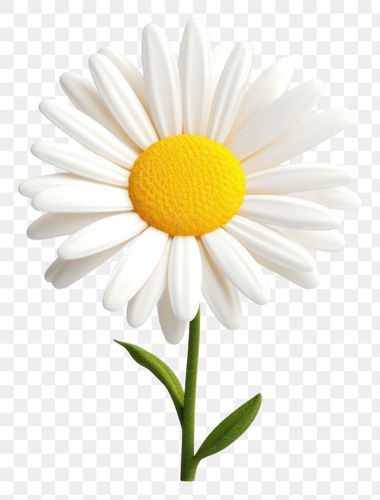 PNG  Daisy flower petal plant. AI generated Image by rawpixel.