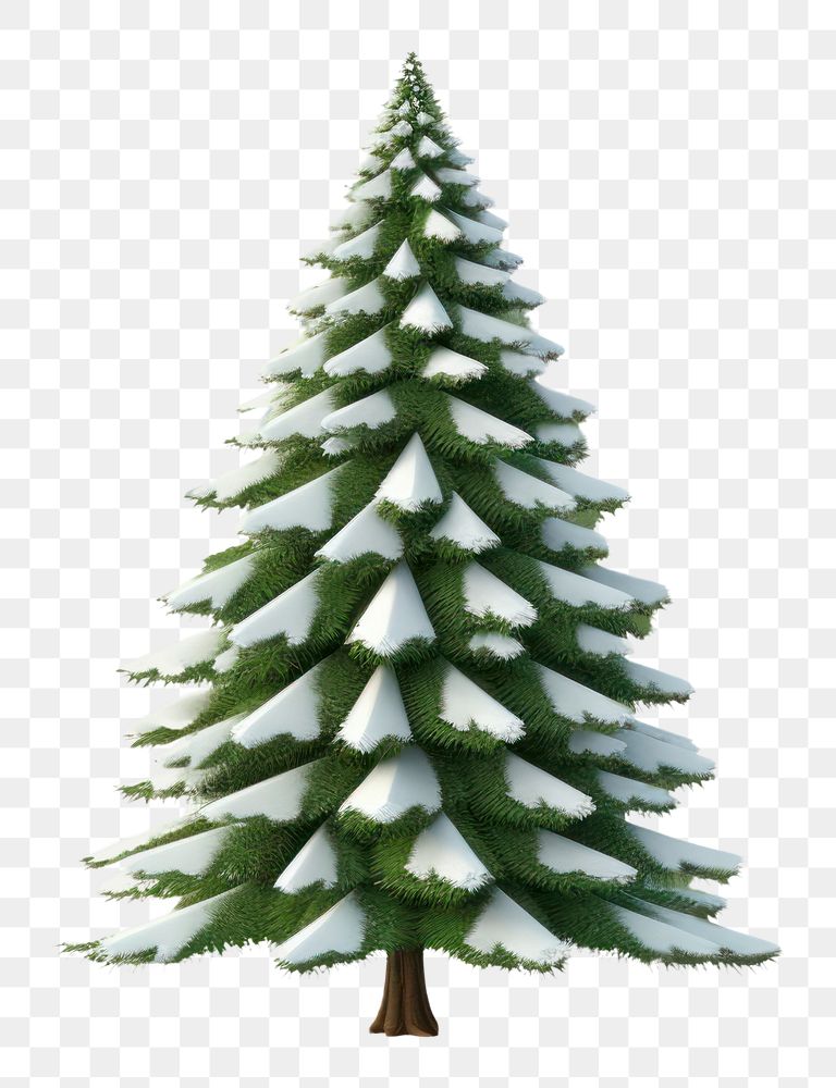 PNG Pine tree christmas plant white
