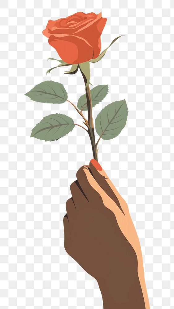 PNG Hand rose holding flower. 