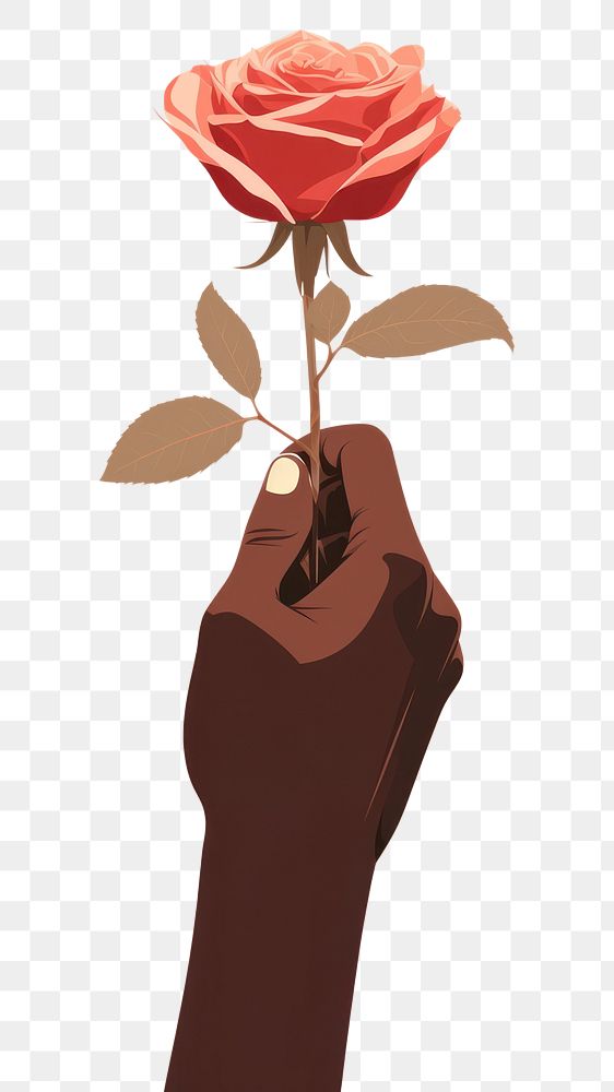 PNG Hand rose holding flower. 