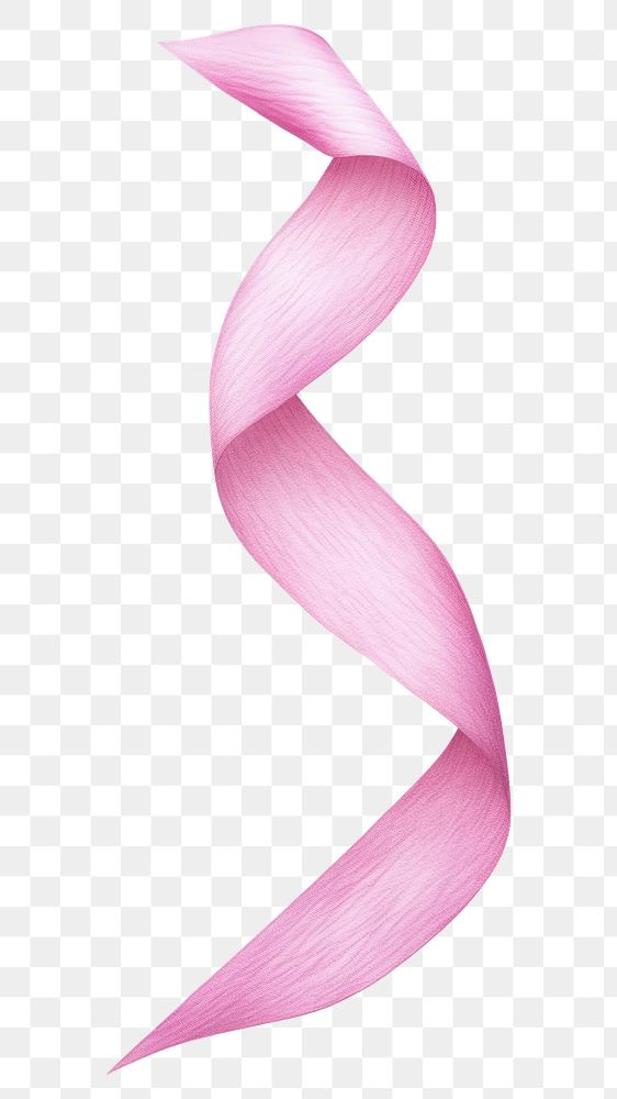 PNG  Spiral pink line ribbon banner petal white background accessories. AI generated Image by rawpixel.