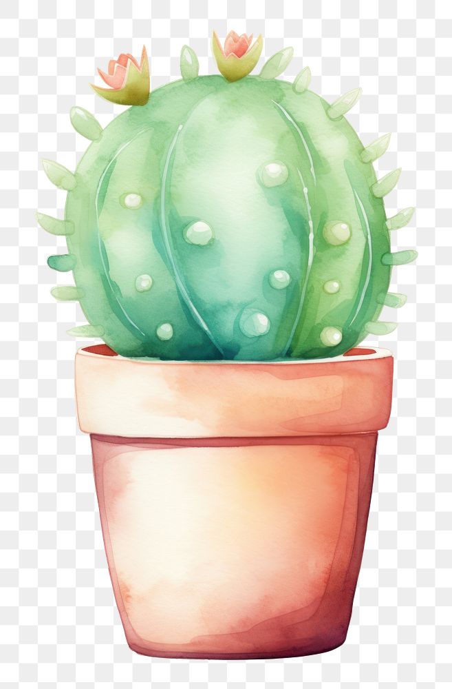 PNG  Cactus plant white background creativity. AI generated Image by rawpixel.