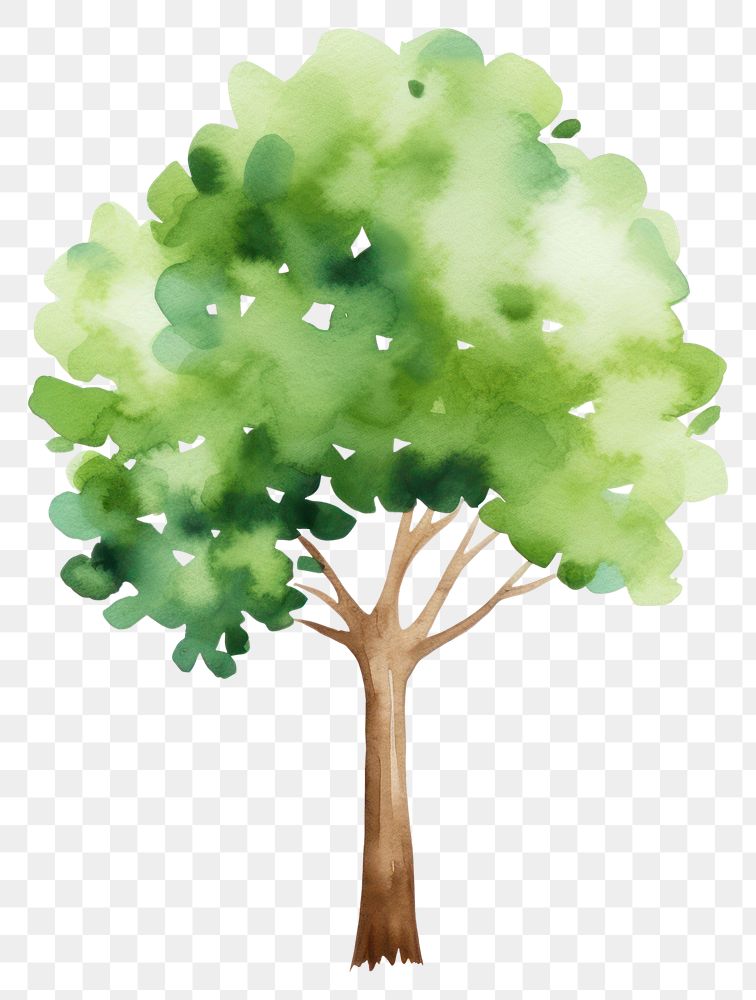 PNG  Tree drawing plant leaf. AI generated Image by rawpixel.