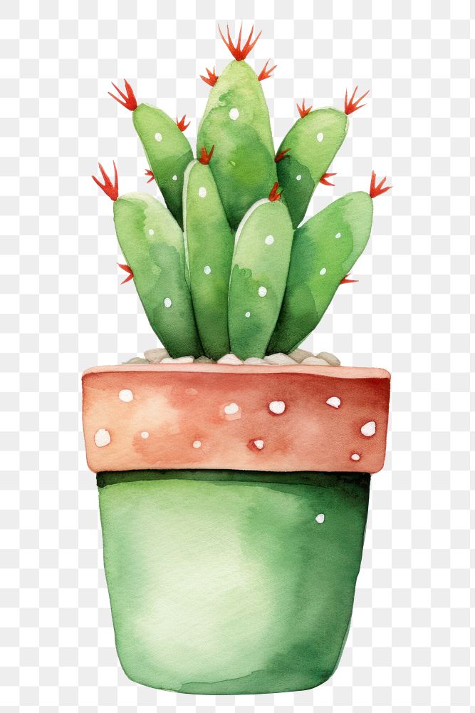 PNG  Cactus drawing plant white background. AI generated Image by rawpixel.