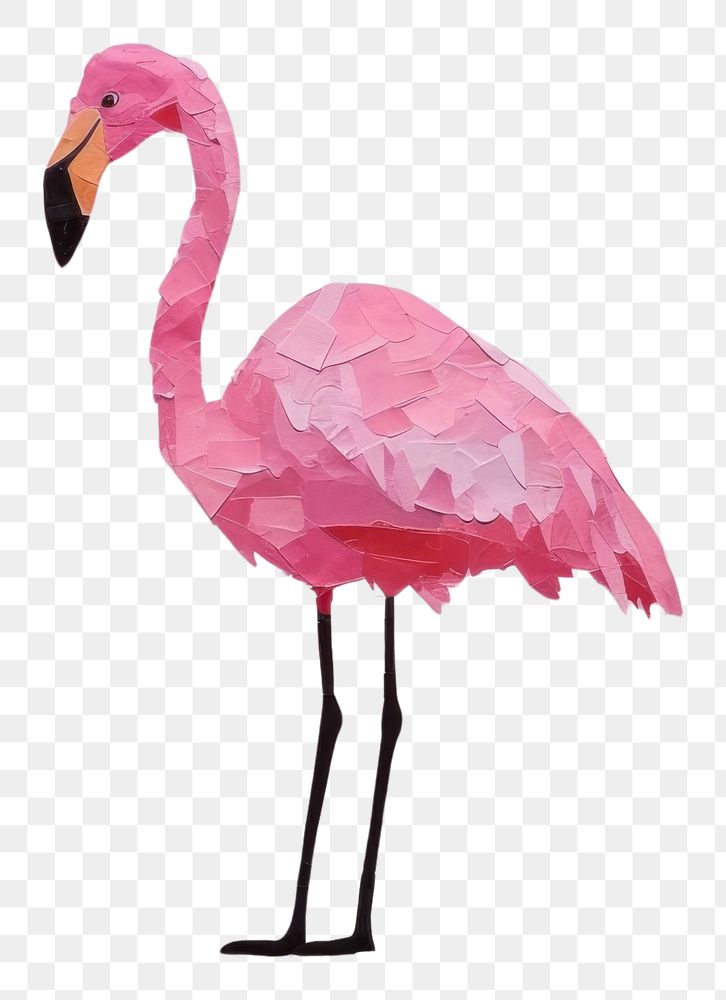 PNG  Flamingo animal bird beak. AI generated Image by rawpixel.