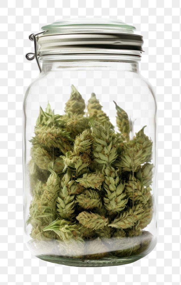 PNG Cannabis jar plant food white background. AI generated Image by rawpixel.