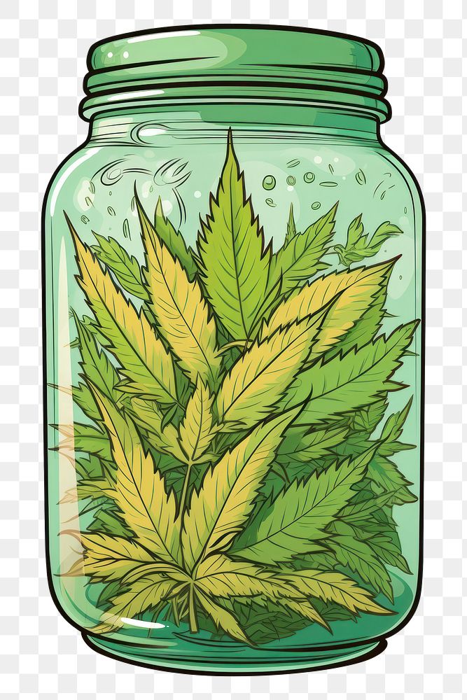 PNG Cannabis jar plant leaf food