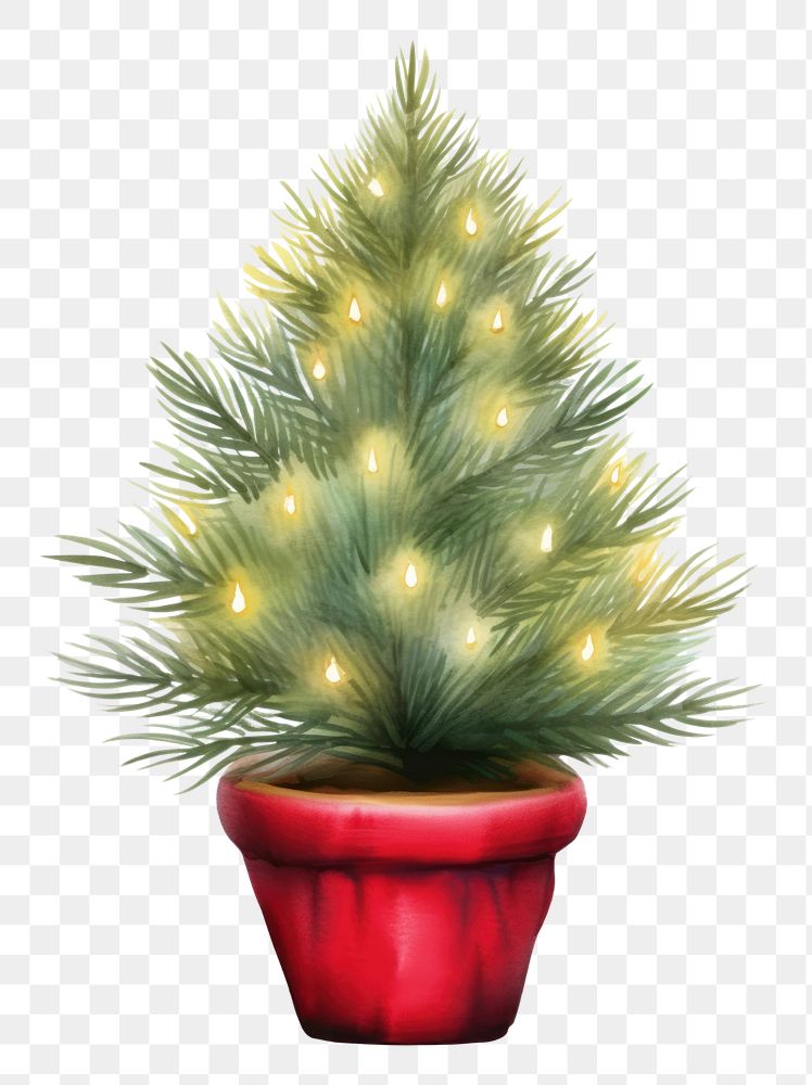 PNG  Christmas tree decoration plant. AI generated Image by rawpixel.