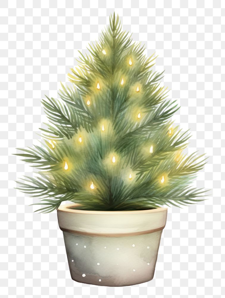 PNG  Christmas tree decoration plant. AI generated Image by rawpixel.