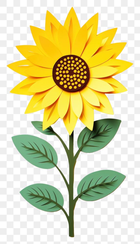 PNG  Mini sunflower plant inflorescence creativity. AI generated Image by rawpixel.