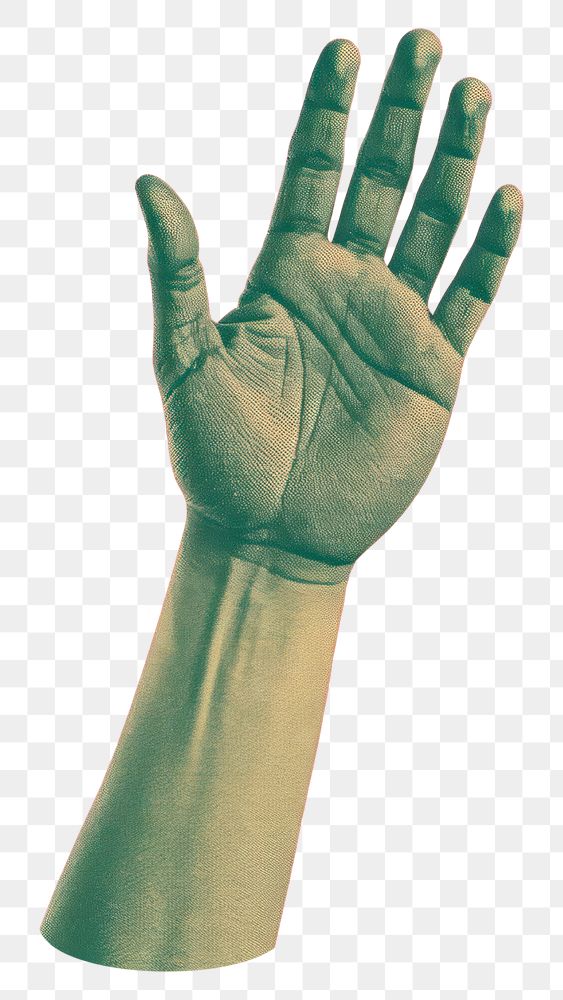 PNG Finger adult glove hand. 