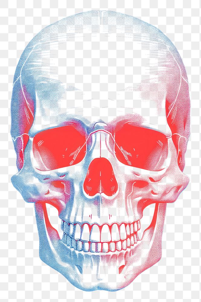 PNG Skull white background anthropology portrait. AI generated Image by rawpixel.