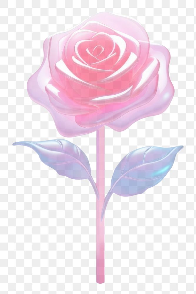 PNG  Rose lollipop flower plant