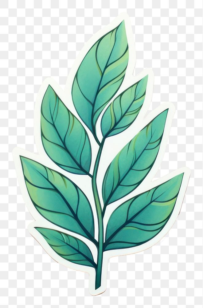 Plant herbs leaf pattern. AI generated Image by rawpixel.