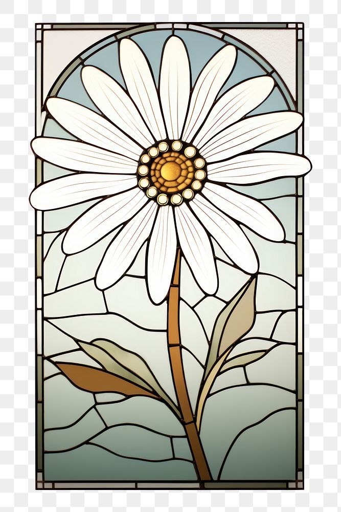 PNG Art inflorescence osteospermum architecture. AI generated Image by rawpixel.
