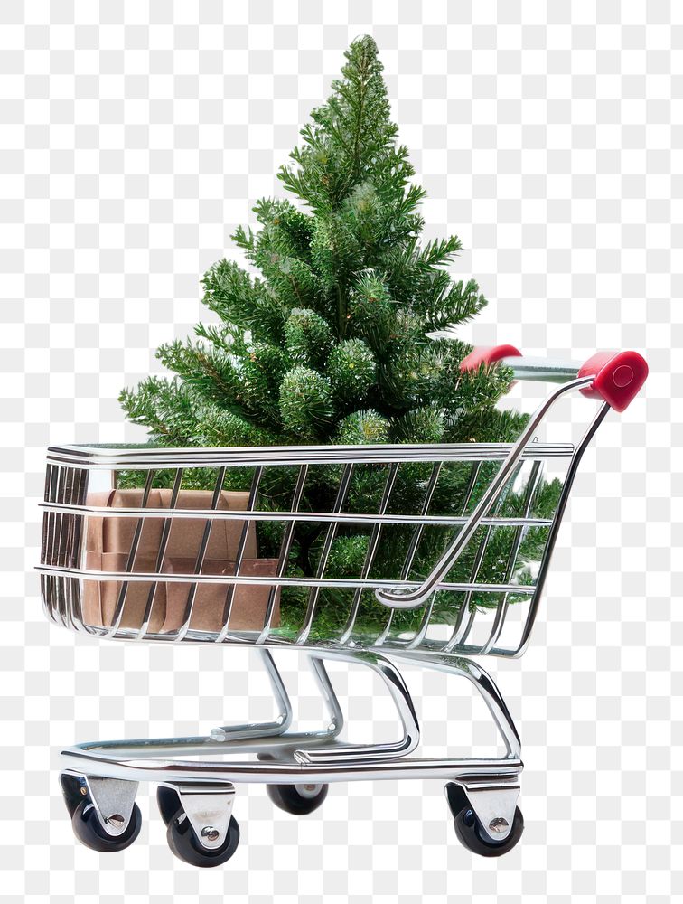 PNG Christmas plant tree cart. AI generated Image by rawpixel.