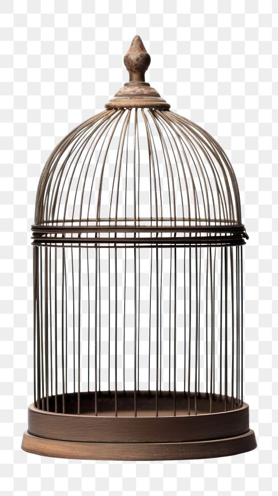 Cage birdcage lighting nature