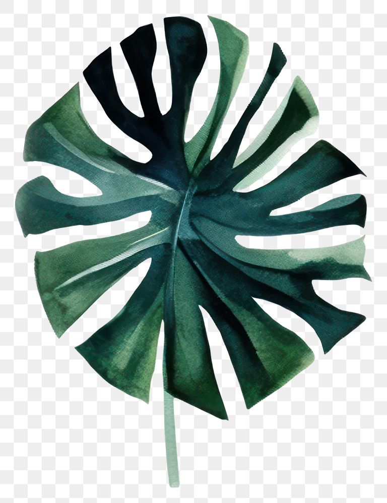 PNG  Jungle plant leaf clothing. AI generated Image by rawpixel.