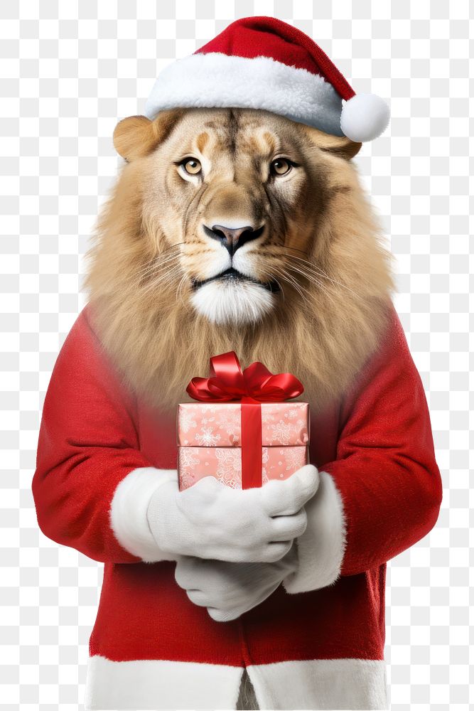 PNG Lion holding Christmas gift. AI generated Image by rawpixel.