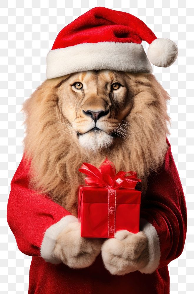PNG Lion holding Christmas gift. AI generated Image by rawpixel.