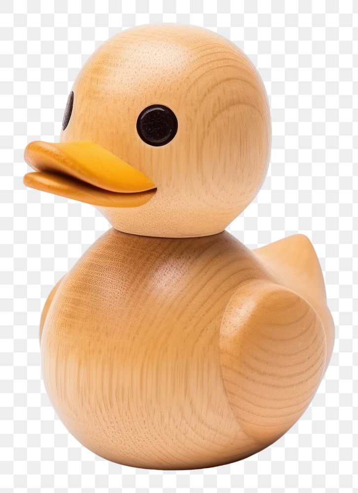 PNG Animal duck bird beak. AI generated Image by rawpixel.