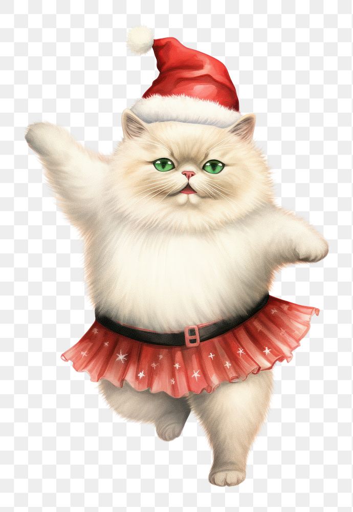 PNG Chubby Ragdoll cat dancing pet christmas mammal. AI generated Image by rawpixel.