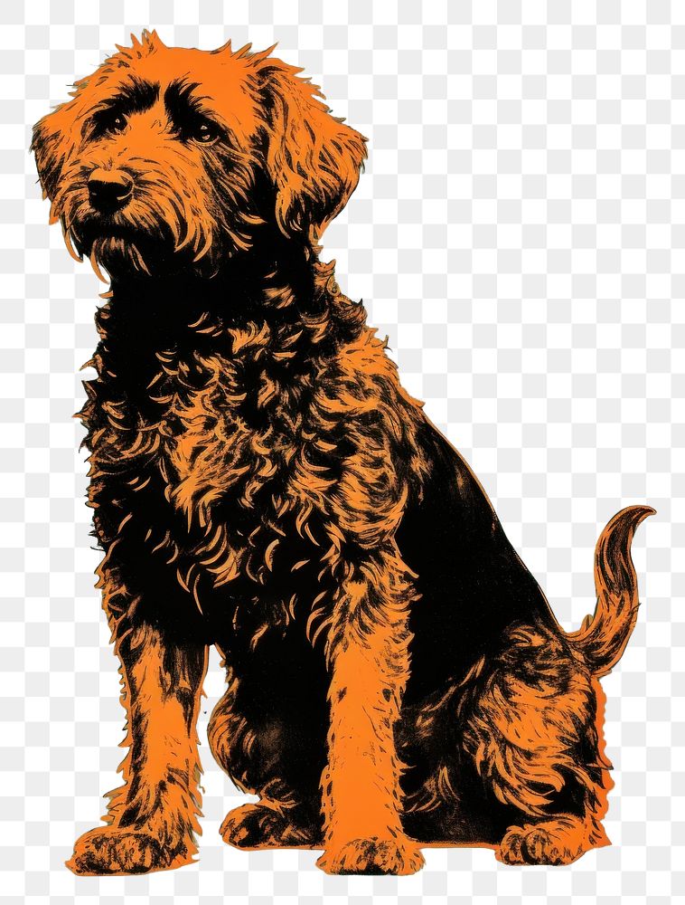 PNG Bolognese dog terrier animal mammal. AI generated Image by rawpixel.