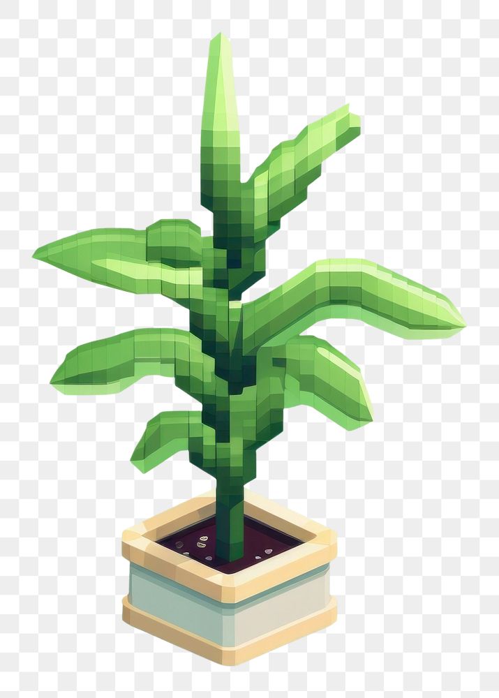 PNG Plant houseplant flowerpot bonsai. AI generated Image by rawpixel.