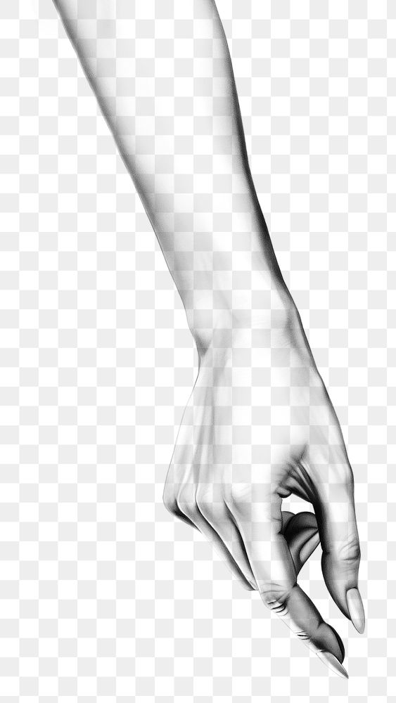 PNG Beautiful woman hand drawing finger adult. AI generated Image by rawpixel.