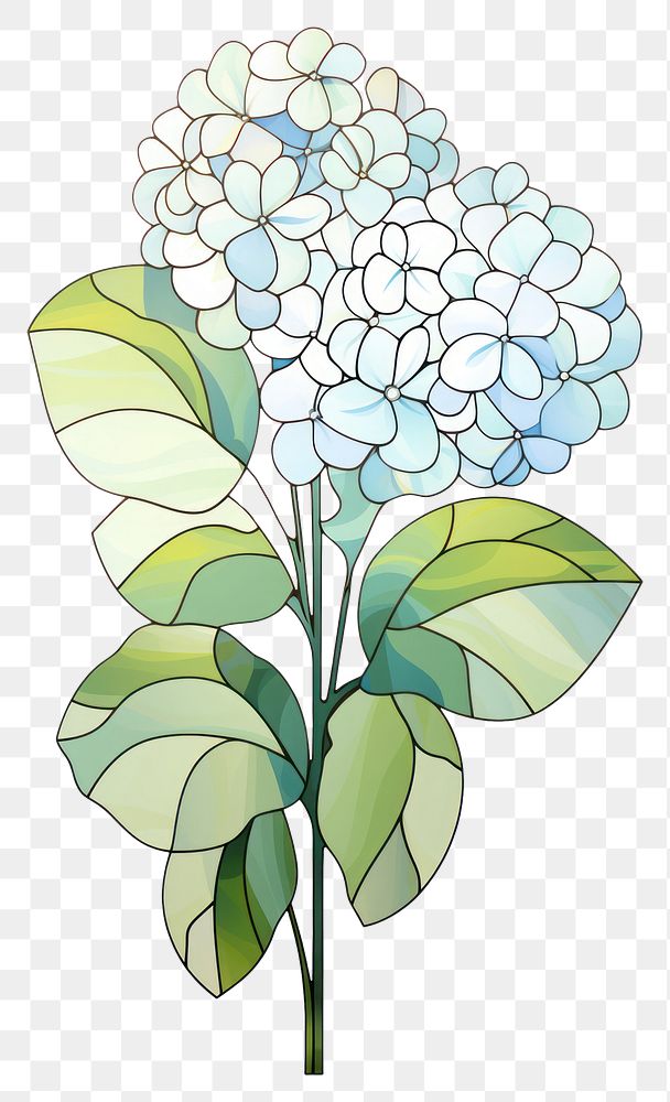 PNG  Glass Hydrangea hydrangea pattern flower. AI generated Image by rawpixel.
