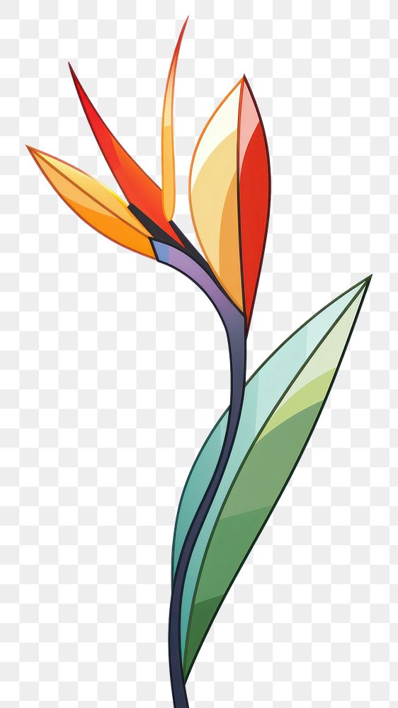 PNG  Plant flower tulip art. AI generated Image by rawpixel.