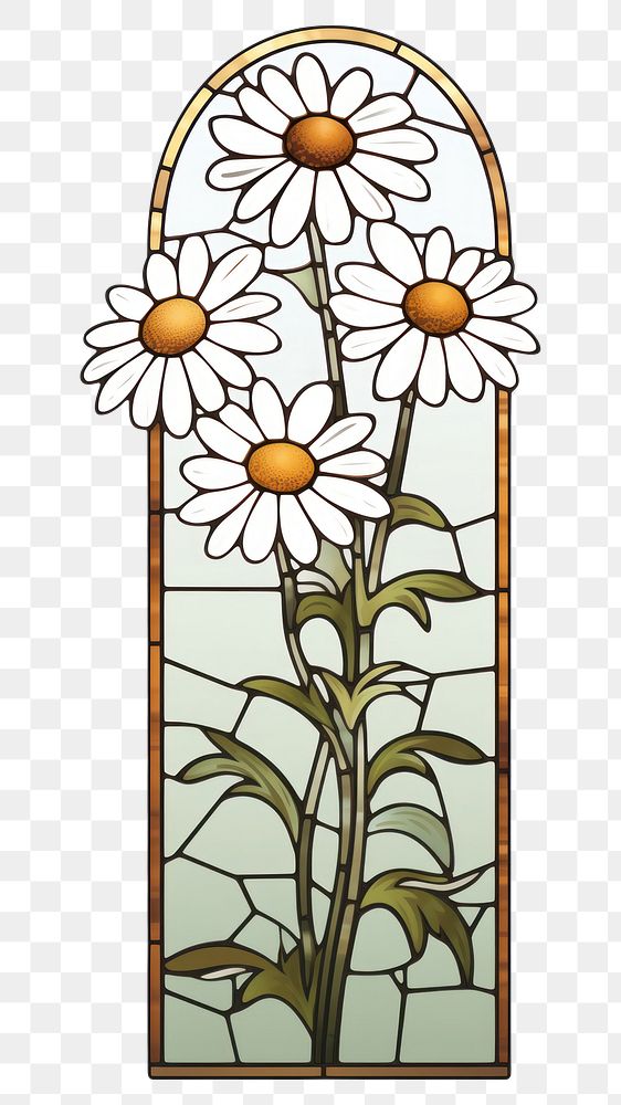 PNG  Glass Chamomile flower plant daisy. AI generated Image by rawpixel.