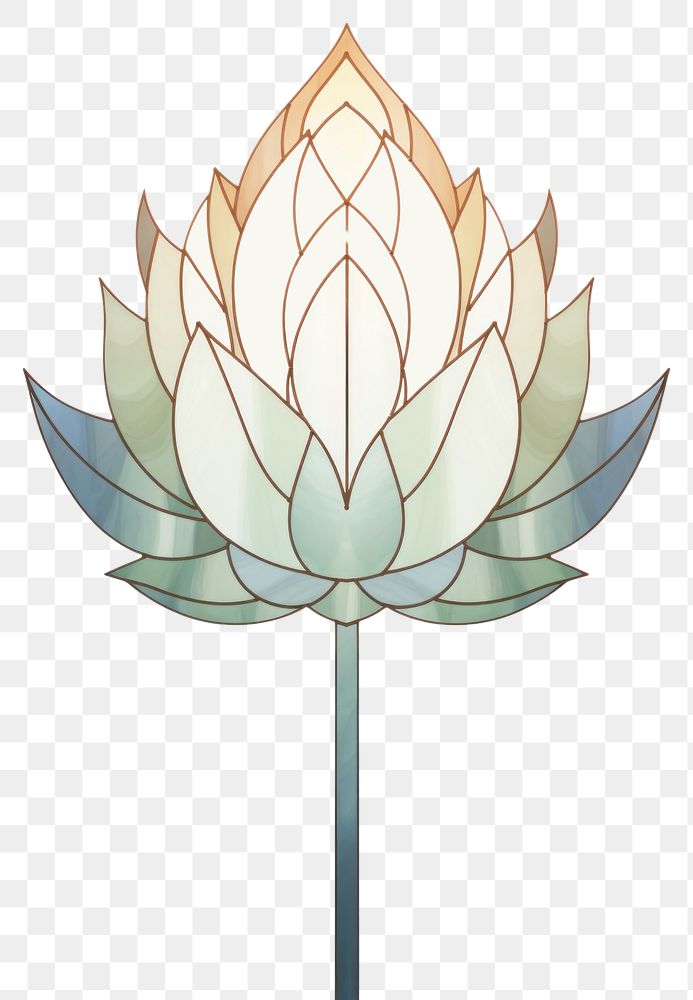PNG  Lotus white background chandelier proteales. AI generated Image by rawpixel.