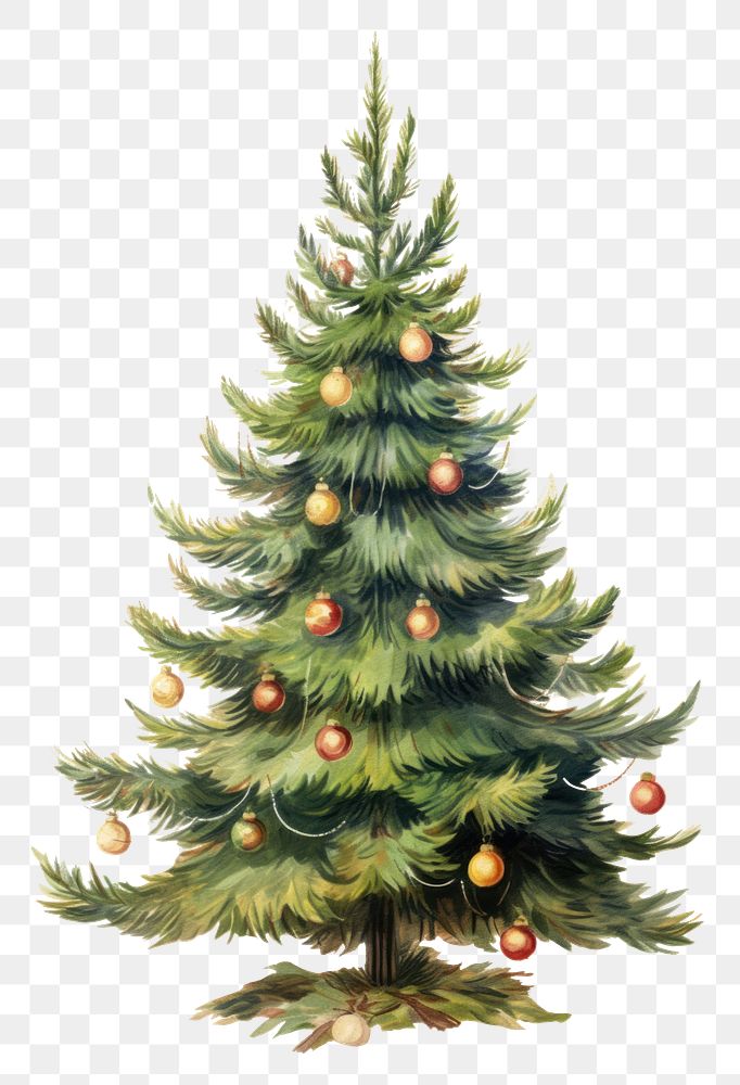 PNG Fully decorated Christmas tree christmas plant pine