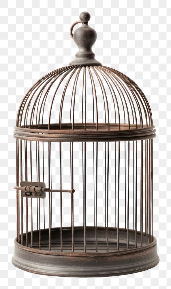PNG Cage metal bird white background