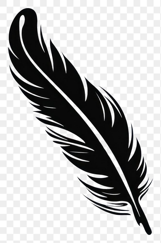 PNG Feathers feather black white. AI generated Image by rawpixel.