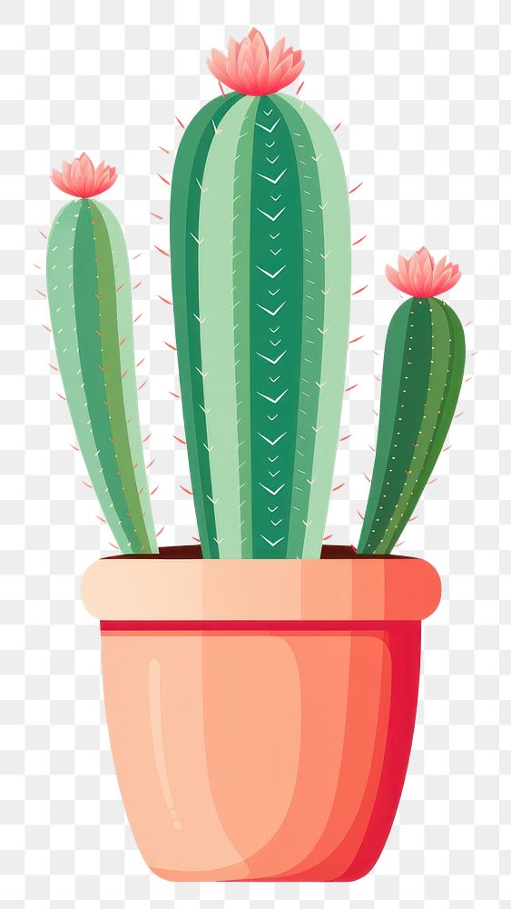 PNG Minimal cactus pot plant white background houseplant. AI generated Image by rawpixel.