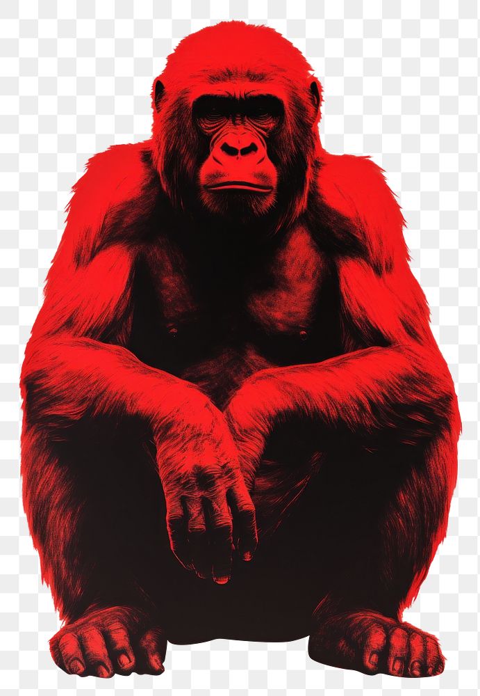 PNG Wildlife gorilla monkey mammal AI generated Image by rawpixel