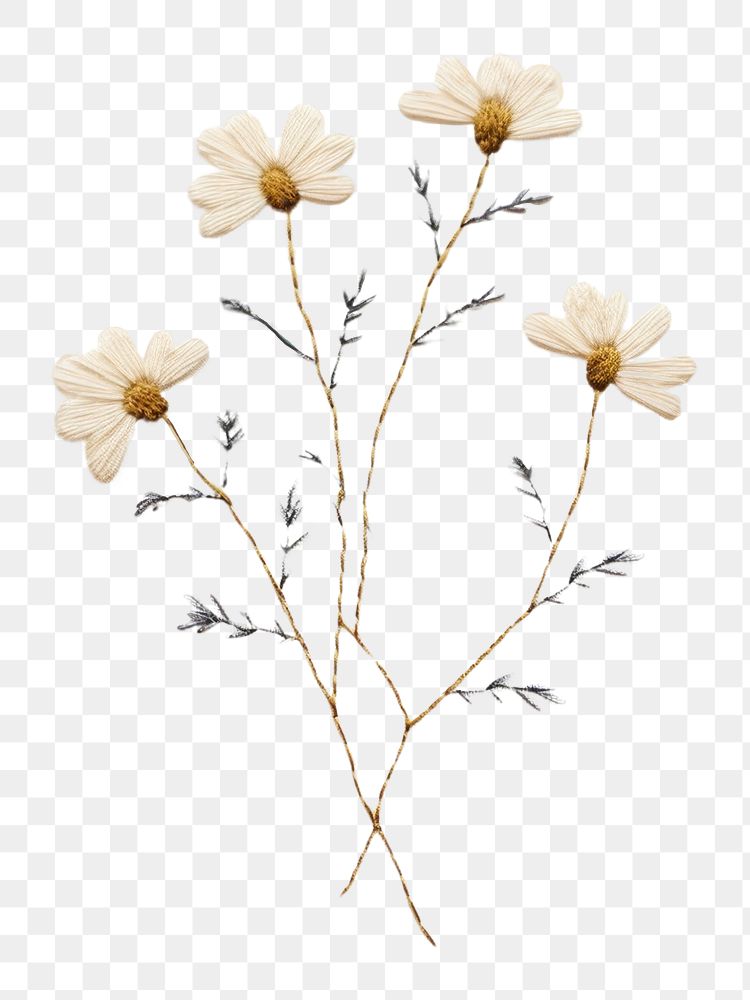 PNG Flower embroidery plant white. AI generated Image by rawpixel.